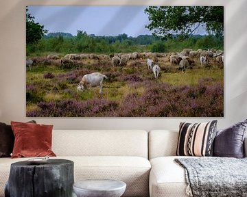 sheep on the moor by P Hogeveen