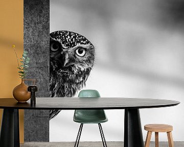 Peekaboo by Erwin Maassen van den Brink