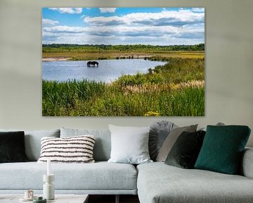 Bathing horses in the swamp by Werner Lerooy