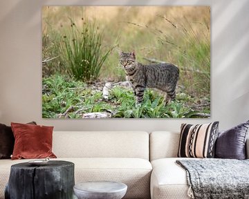 Tabby Cat in the Woods von VIDEOMUNDUM