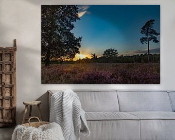 Heather field with sunset, Drenthe by Gert Hilbink