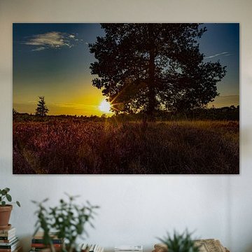 Heathrow mit Sonnenuntergang, Drenthe