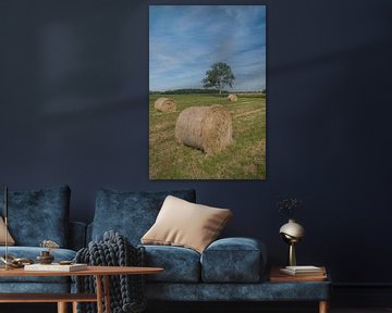 Rouleaux de foin sur Moetwil en van Dijk - Fotografie