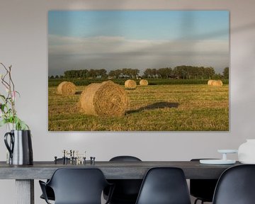 Hay rolls in the beautiful evening light by Moetwil en van Dijk - Fotografie