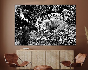 Deer and Fox Confrontation on the Screen by Roebie's-Fotografie