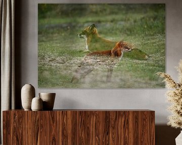 Mehrfachbelichtung Der Fuchs von Roebie's-Fotografie