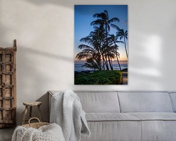 Palm trees on the beach of Kaua'i (Hawaii) by t.ART
