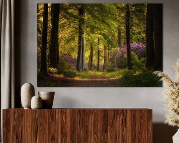 Flowering rhododendrons in the fairytale forest by Moetwil en van Dijk - Fotografie