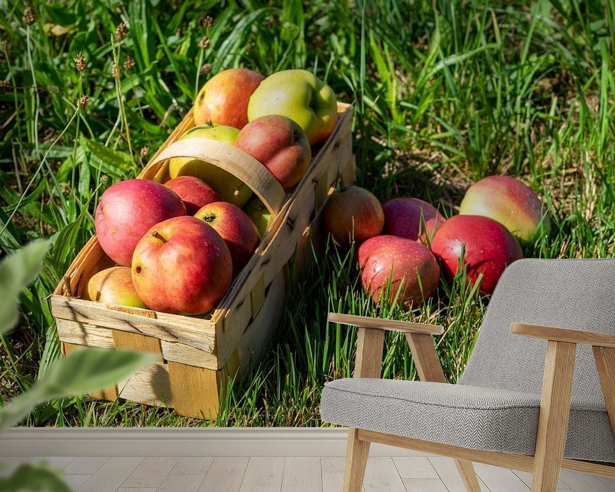 Raumvorschau