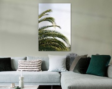 Palmbladeren in de zon | Palmboom | Italië | Botanische print van Mirjam Broekhof