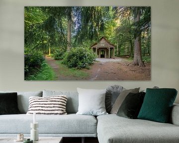 Magische Hütte im Wald von Moetwil en van Dijk - Fotografie