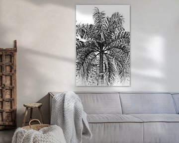 Palm tree von Stefan Antoni