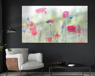 poppies and cornflowers by Gert Beltman