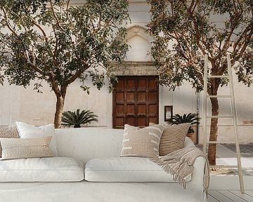 Pigeon to the Amalfi by Maike Simon