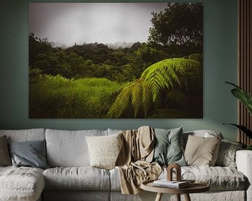 Cloudy Rainforest van Dennis Langendoen