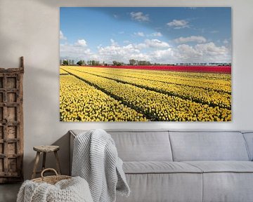 een geel en rood tulpenveld met een prachtige wolkenlucht van W J Kok