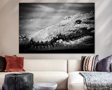 Krokodil in Schwarz und Weiß von Dennis Langendoen