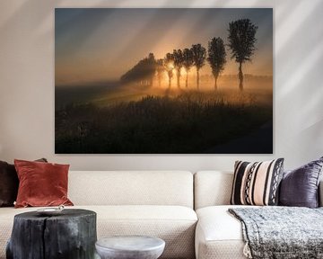 Sprookjesachtige zonsopkomst tussen de bomen van Moetwil en van Dijk - Fotografie
