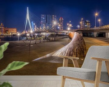 Erasmusbrug Rotterdam