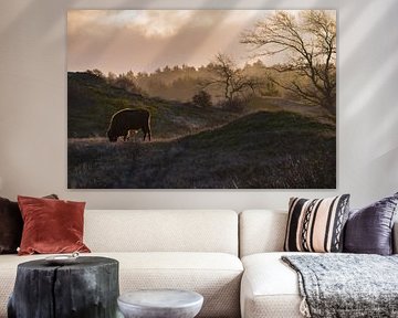 Wisent at sunrise by Renso de Wind