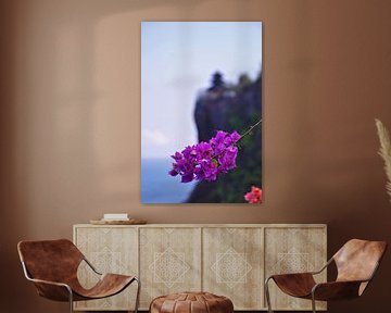 Bougainvillea im Uluwatu Pura Tempel Bali Indonesien von Maurits Bredius