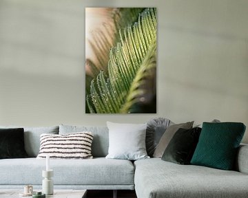 Druppels op het palmblad  | Botanische print | van Marika Huisman fotografie