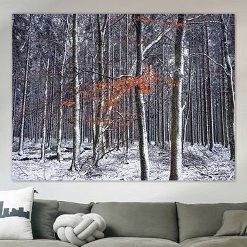 Winter in den Ardennen