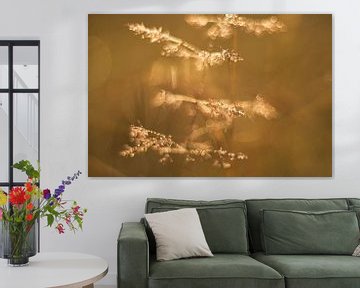 Goldene Tautropfen von Moetwil en van Dijk - Fotografie