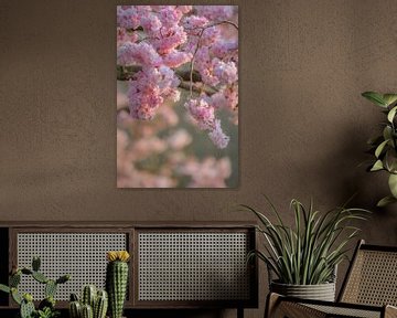 Zweig mit vielen Blüten von Moetwil en van Dijk - Fotografie