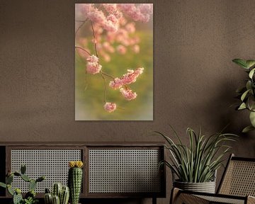 Branch with pink blossom by Moetwil en van Dijk - Fotografie