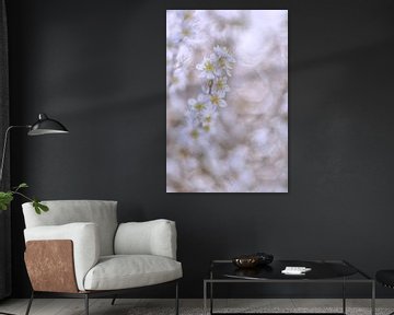 Weiße Blüte von Moetwil en van Dijk - Fotografie
