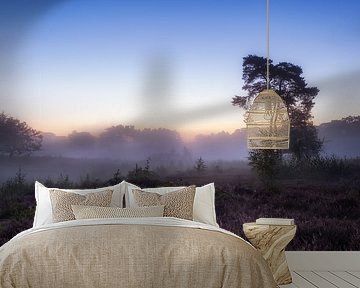 Who's afraid of purple and blue?