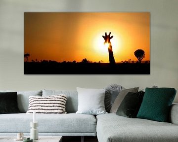 giraffe silhouette safari sur Martijn Wams