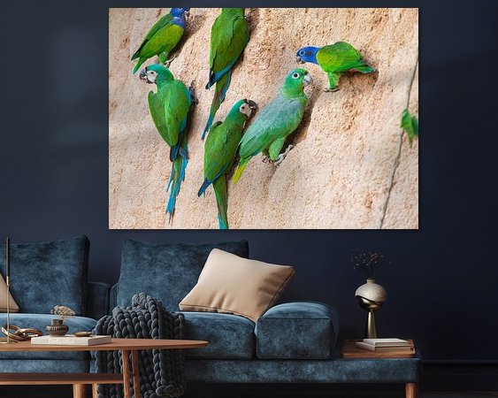 Aperçu de la chambre