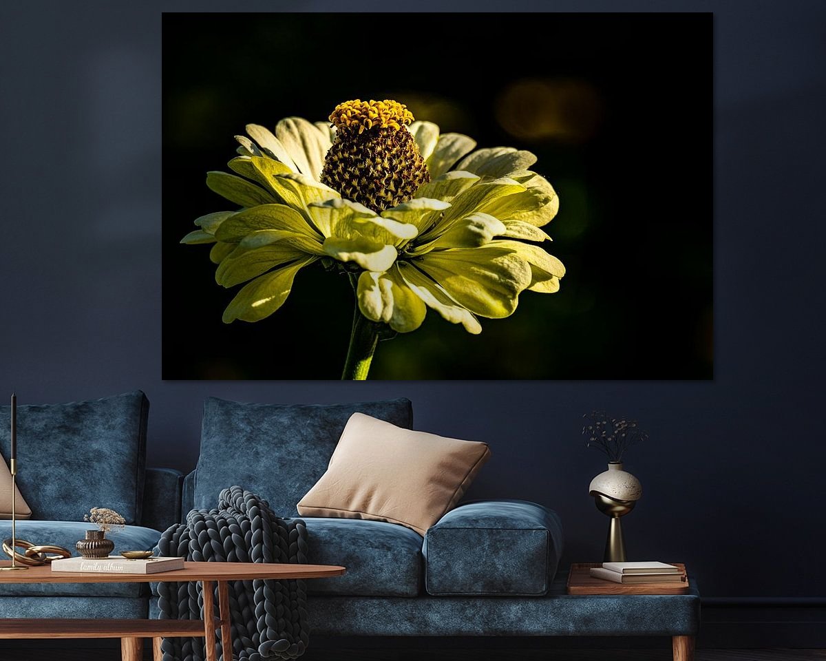 Raumvorschau