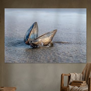 Gold aus der Nordsee