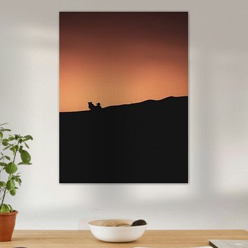 Silhouette du désert