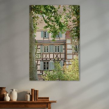 Half-timbered house through the trees in Colmar, Alsace region of France