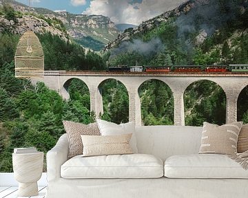 Steam train over viaduc de la Donne by Erik de Klerck