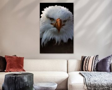 Sea Eagle by Marjolein De groot