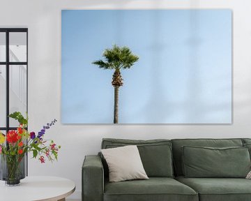 Hoge palmboom van Marika Huisman fotografie