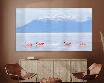 Flamingo's in de bergen van Lennart Verheuvel