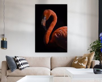 Flamingo in low-key by Nienke Bot