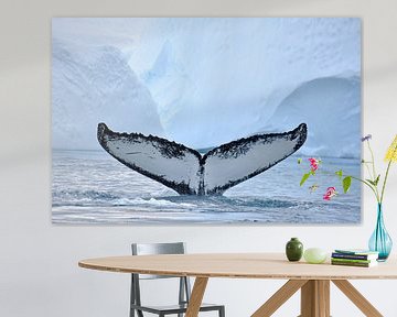 Bultrug walvis van Wiltrud Schwantz