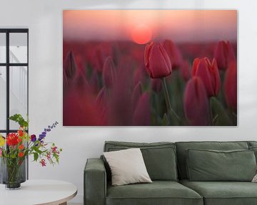 Tulpen met zonsondergang van Rianne Kugel