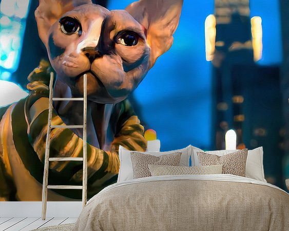 Aperçu de la chambre