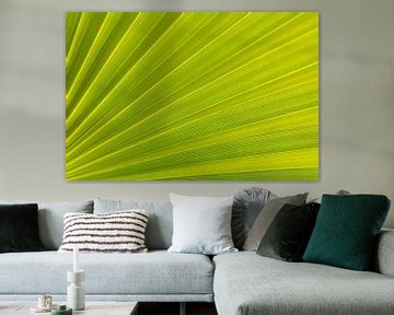 Close beeld van het blad van een palmboom van Marika Huisman fotografie