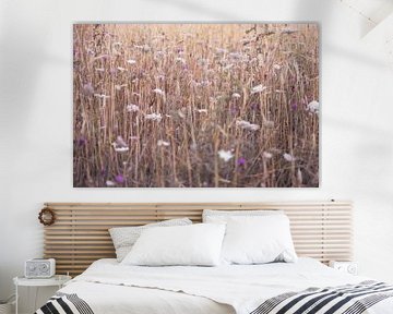 Summer grass with purple and white flowers in England. by Christa Stroo photography