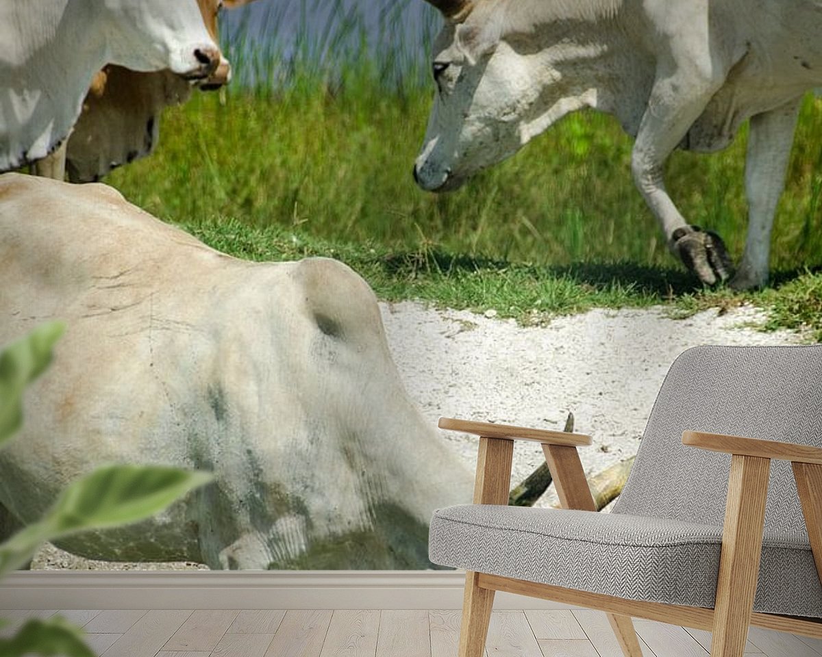 Raumvorschau