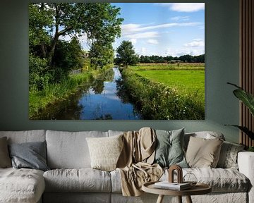 Creek around the village of Zwolle, the Netherlands with green t